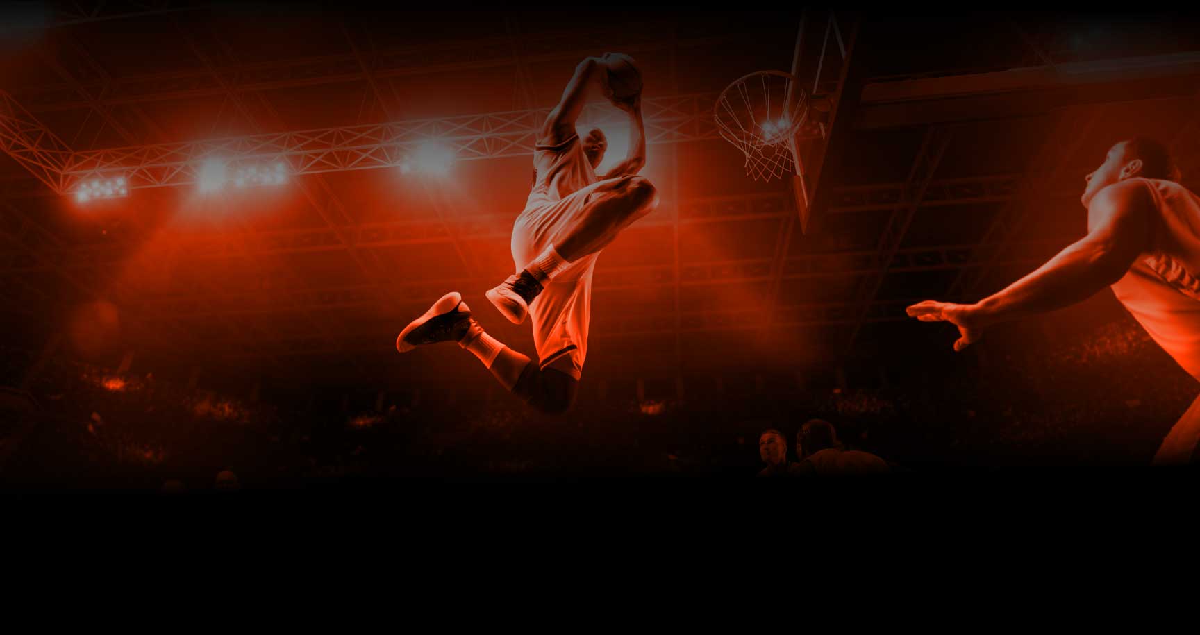 Coneix els nostres equips